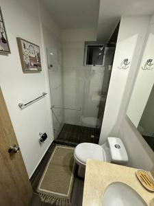 a small bathroom with a toilet and a shower at New, cozy & stylish apartment in Armenia