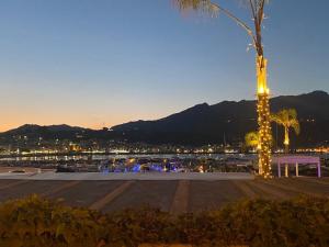 a palm tree with lights on it at night at Casa Don Saro in Giardini Naxos