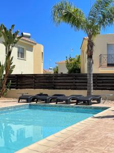a swimming pool with chairs and a palm tree at Casa Pernera in Protaras
