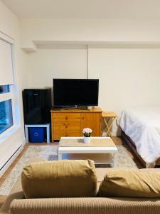 TV a/nebo společenská místnost v ubytování Victoria private studio suite