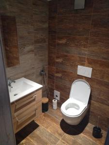 Koupelna v ubytování Apartman pod Svatou Horou