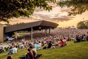 uma grande multidão de pessoas sentadas na relva num concerto em Chic Catskills Getaway Bungalow em Hurleyville