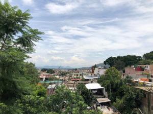a view of a city with trees and buildings at Suite Antequera en mexico in Oaxaca City