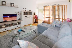 a living room with a couch and a tv at Lungo Mare Apartment with Terrace in Pula