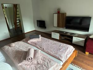 TV a/nebo společenská místnost v ubytování Apartma-BUOVC