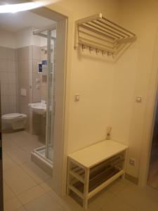 多尼蒙拉沃的住宿－APARTMÁNY za SNĚŽNÍKEM，一间带卫生间、淋浴和长凳的浴室
