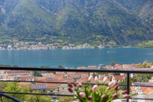 Příroda nedaleko apartmánu + 23 fotografií