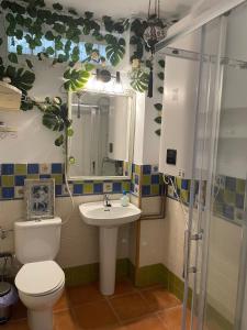 a bathroom with a toilet and a sink and a shower at Apartamento El Huerto de Orive in Córdoba