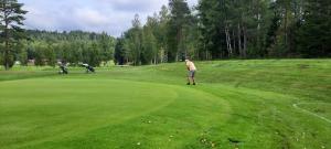 Golf v apartmánu nebo okolí