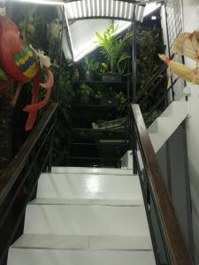 a set of stairs in a building with plants at Hotel Gavas Amazonas in Leticia