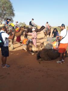 a group of people riding on the backs of camels at Chez Meriem in Merzouga
