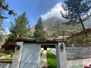 a door with a tree on top of it at KiDRAK OTEL MONTENEGRO-1 in Faralya