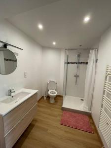 uma casa de banho com um lavatório, um chuveiro e um WC. em Belle maison de ville rénovée em Lavardac