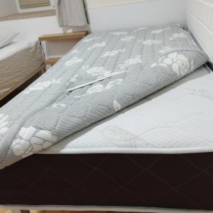 Bolnisi的住宿－Guest House Bolnisi - Duplex apartment，卧室里一张白色花的床垫