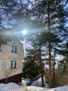 Cozy studio in Tampere for 4 with own Sauna,balcony and a free parking v zimě