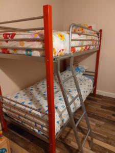 een stapelbed met een ladder naast een stapelbed bij Holiday home close to Plopsaland and the beach Duinendale 138 in De Panne