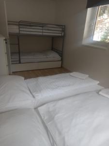Fotografie z fotogalerie ubytování APARTMÁNY za SNĚŽNÍKEM v destinaci Dolní Morava