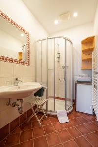 a bathroom with a sink and a shower at Bio-Bauernhof Nichlgut in Eben im Pongau
