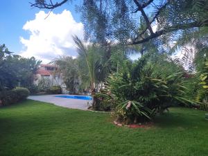 a yard with a swimming pool and palm trees at Hostel Casa do Sossego in Brasília