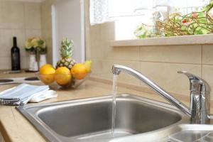 a sink in a kitchen with a bowl of fruit at Apartment Pojatica Sumartin in Sumartin