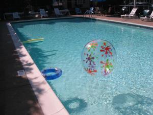 una piscina con una pelota de playa en el agua en Gauthier's Saranac Lake Inn, en Saranac Lake