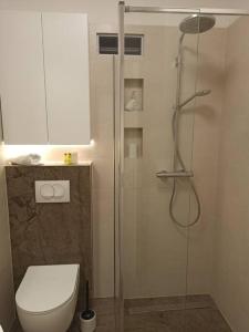 Un baño con inodoro y ducha de cristal. en Peacock Apartment, en Split 32 fotos más