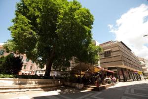 ein Baum an der Seite einer Straße mit einem Gebäude in der Unterkunft Green Place in Split