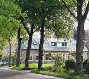 um grupo de árvores em frente a uma casa em B&B het Klontje em Vriescheloo