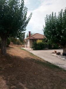 a cat is sitting in front of a house at The House in the Mulberries Trees in Metangítsion