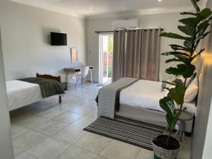 a bedroom with two beds and a potted plant at 10 Paul Roos in Kimberley