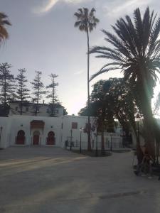 un edificio blanco con palmeras delante en Chambre du jardin en Rabat