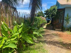 a garden with a palm tree next to a house at Oby Noronha in Fernando de Noronha