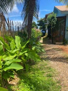 un chemin vers une maison avec des plantes vertes dans l'établissement Oby Noronha, à Fernando de Noronha