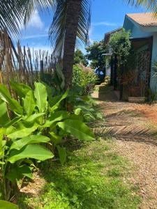 um caminho para uma casa com plantas verdes em Oby Noronha em Fernando de Noronha