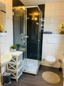 La salle de bains est pourvue d'une douche et de toilettes. dans l'établissement Strand-Butze 9206 Yachthafenresidenz, à Kühlungsborn