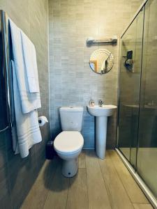 a bathroom with a toilet and a sink and a shower at Wild Atlantic Way Rentals in Kenmare