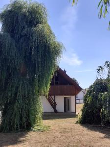 een huis met een boom ervoor bij Ferienhaus Wehretal 