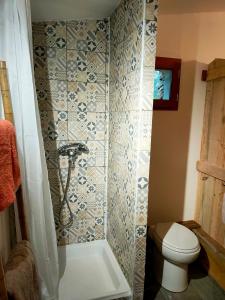 a bathroom with a shower and a toilet at Cabane des pachous in Tourves