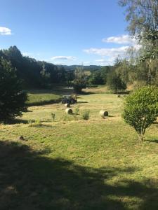 Příroda nedaleko bed and breakfast