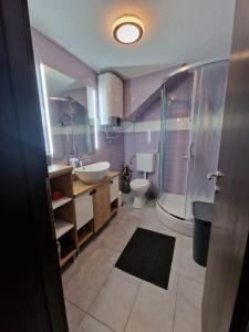 a bathroom with a sink and a toilet and a shower at Little Oasis in Šibenik +20 photos