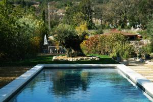 a pool with a tree in the middle of a yard at Le Mas de Cink in Saint-Saturnin-les-Apt