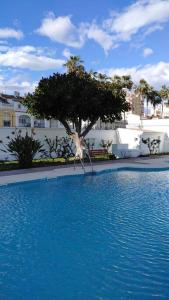 Bazén v ubytování Precioso apartamento frente a la playa nebo v jeho okolí