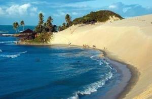 a beach with palm trees and the ocean at Marsallis Praia JR 406 in Natal
