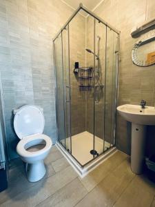 a bathroom with a shower and a toilet and a sink at Wild Atlantic Way Rentals in Kenmare