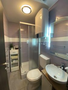 a bathroom with a toilet and a shower and a sink at Little Oasis in Šibenik