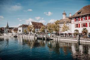 a view of a river in a city with buildings at Ferienwohnung am Sonnenberg in Busingen am Hochrhein