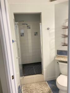 a bathroom with a shower with a toilet at Park side 2 Bed 2 Bath suite in Kelowna