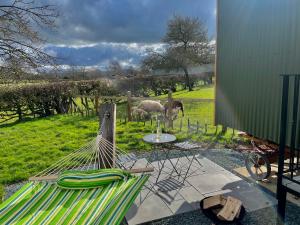 una hamaca en un campo con ovejas en el fondo en The Orchard Retreat en Shrewsbury