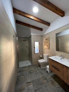 y baño con aseo, lavabo y ducha. en Casa Rural Torre del Homenaje, en Belmonte