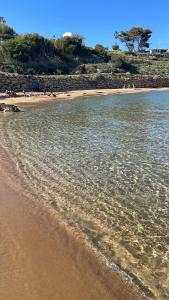 einen Strand mit einem Körper aus Wasser und einem Baum in der Unterkunft la villetta del sole in Ovile la Marinella